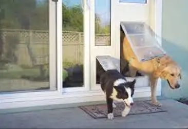 Install Pet Doors
